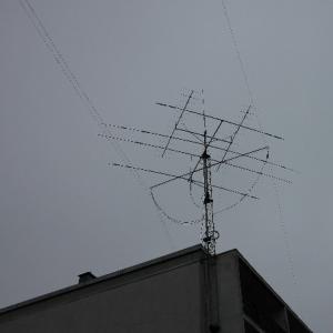 ant-1.jpg