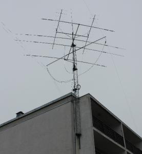 Klikk for å se stort bilde ant-2.jpg